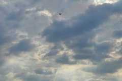 16519024-d36c-46f6-9a0f-0e1d66a844c9