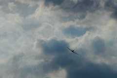 65f80c1d-911e-418d-b1fc-12b5bc9c5207
