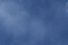 IMG_8067